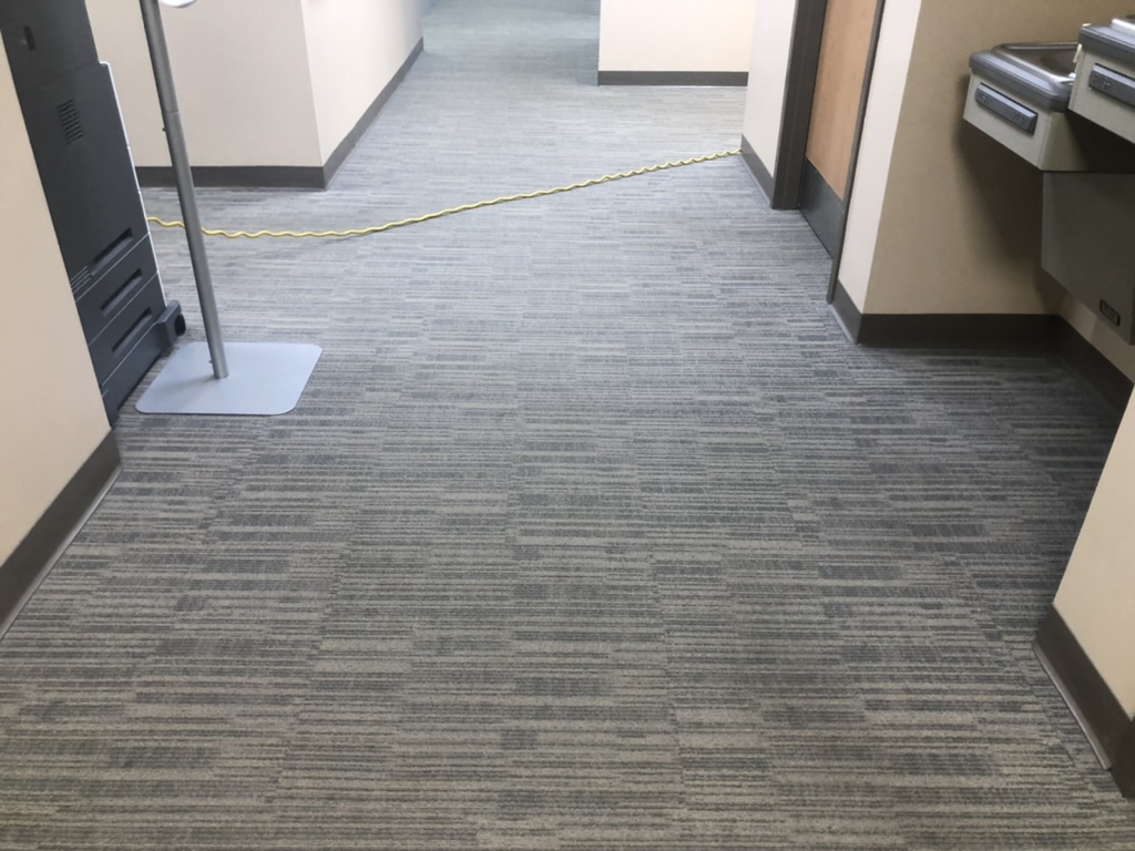 Carpet cleaning project in progress at a St. Louis Missouri commercial office