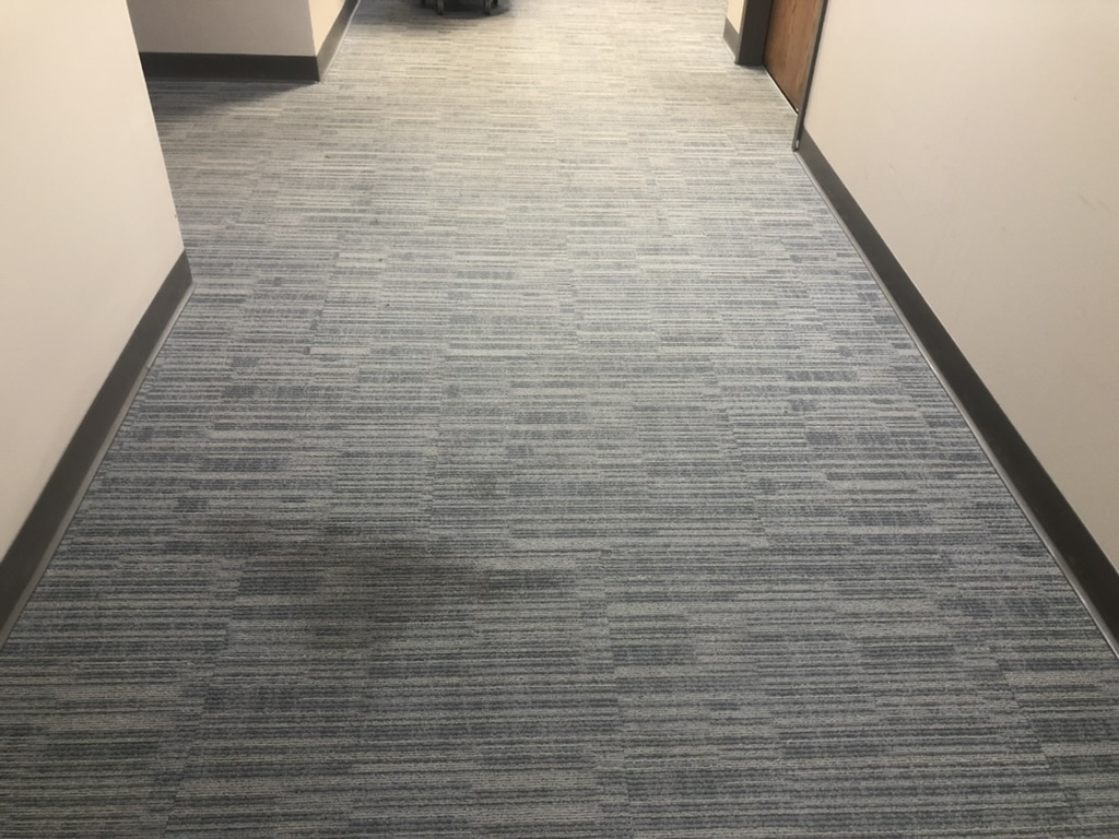 Clean commercial hallway carpet after professional Bel Cleaning service