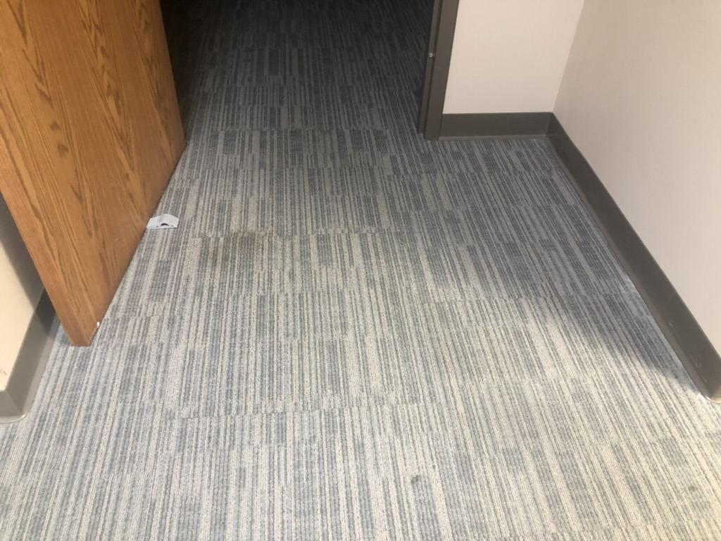Freshly cleaned blue-gray office carpet after Bel Cleaning extraction service