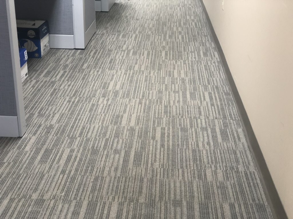 Bel Cleaning restored office floor carpet in St. Louis commercial facility